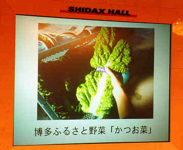 20120312_shiraki_03.jpg