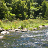 オシャレな携帯浄水器