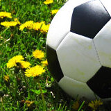 見逃せない、UEFAチャンピオンズリーグ決勝戦