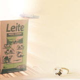 ムンクの叫びのあの顔が氷に!?