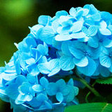 自宅で出来るカビ対策