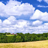 まるでレアチーズケーキ!? ヘルシーなお豆腐スイーツ