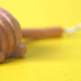 タッチして育てる、ロボット型ふれあいペット☆