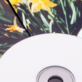 ハムスターや東京タワーが、もしもつぶやいたら!?